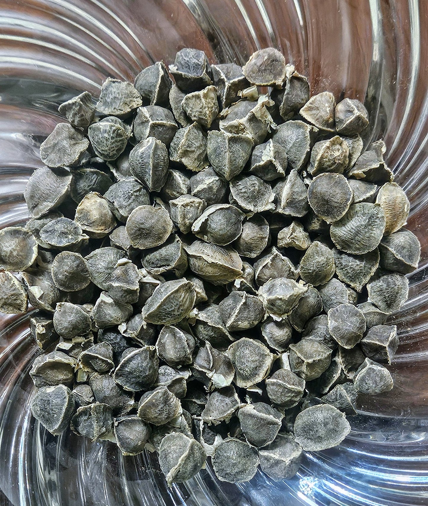 Organic Moringa Seeds